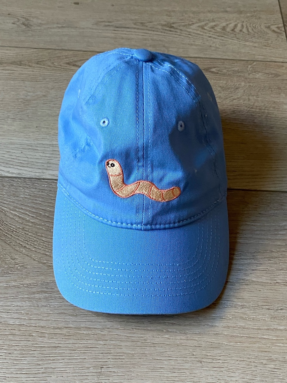 Worm embroidered hat